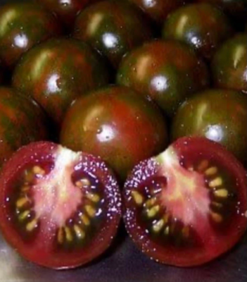 Tomato 'Black Zebra Cherry' (Solanum lycopersicum)