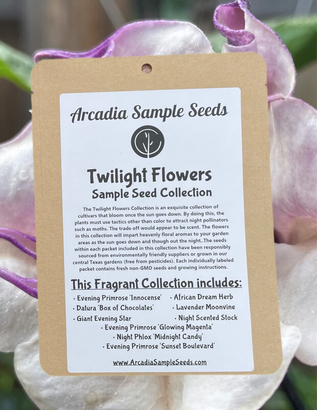 Twilight Flowers Collection