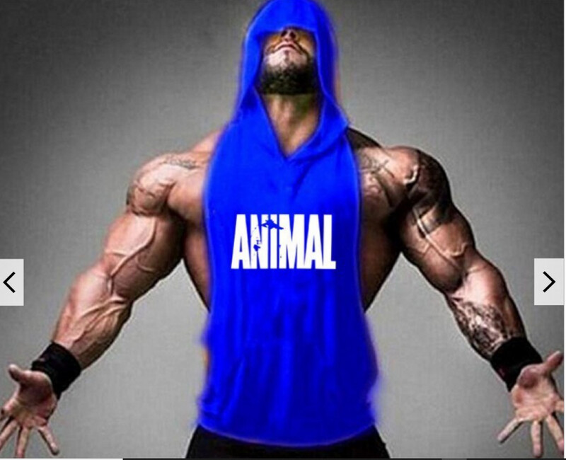 Men's Gym Hoodie - ANIMAL