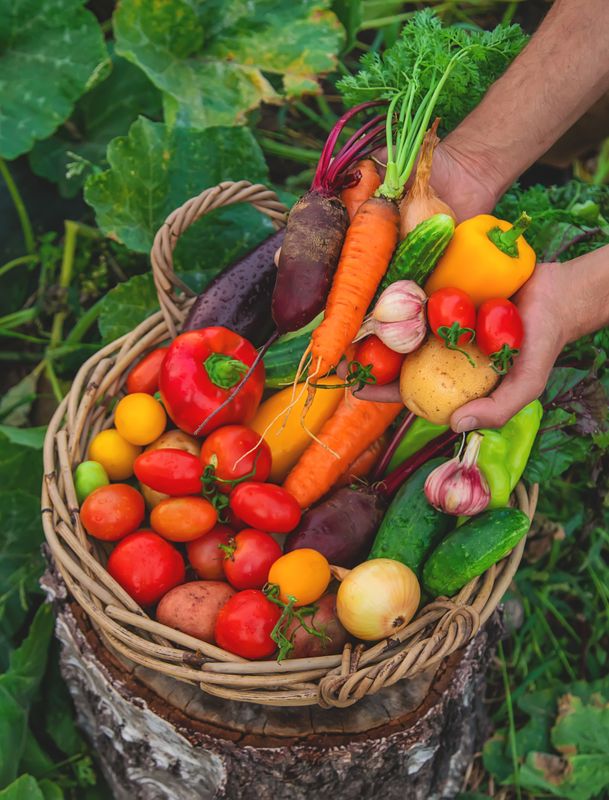 Vegetable Medley Sampler - (14 plants)