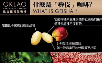歐客佬藝伎系列 Oklao Geisha Coffee Beans