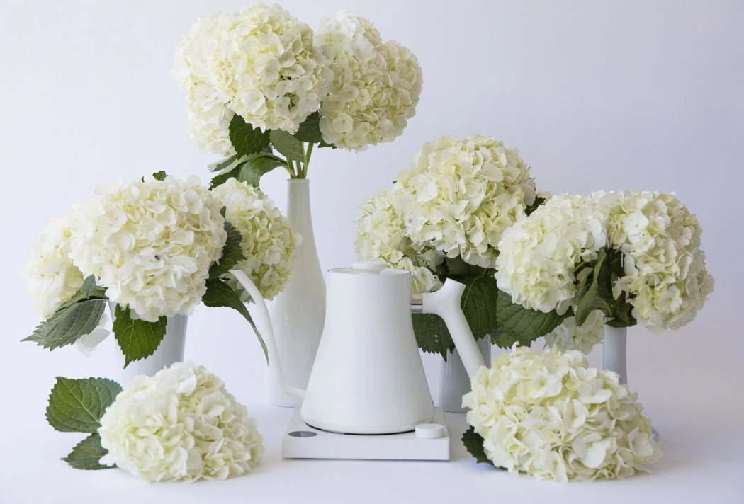 Fellow STAGG EKG 電子溫控手沖壺 白色 600ml