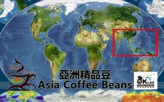 亞洲精品豆 Asia Coffee Beans