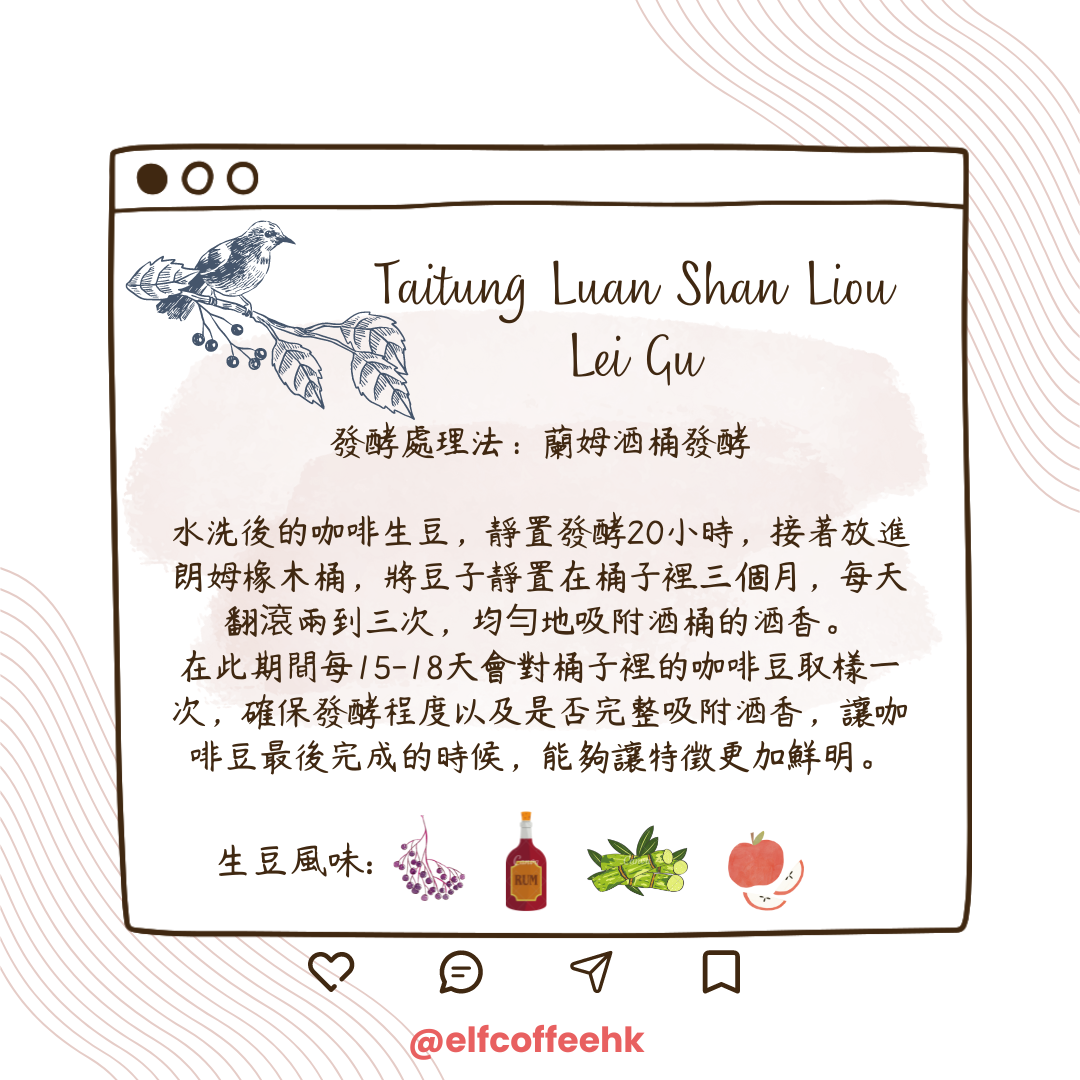 CoffEETAil 台東流淚谷咖啡豆 生豆 (蘭姆酒桶發酵/1KG)需預訂