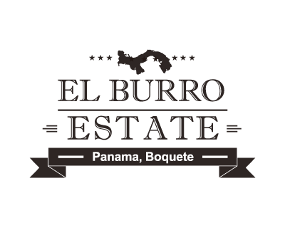 巴拿馬 驢子莊園(艾茵布羅莊園) 藝伎 日曬