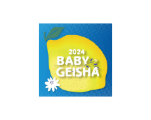 衣索比亞 吉瑪莉姆 果美村 寶貝藝伎 日曬 甜檸檬計畫 衣索比亞 吉瑪莉姆 果美村 寶貝藝伎 日曬 甜檸檬計畫