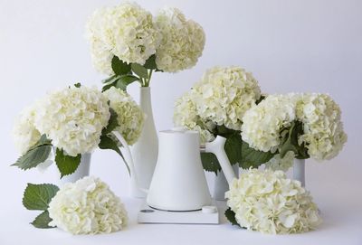 Fellow STAGG EKG 電子溫控手沖壺 白色 900ml