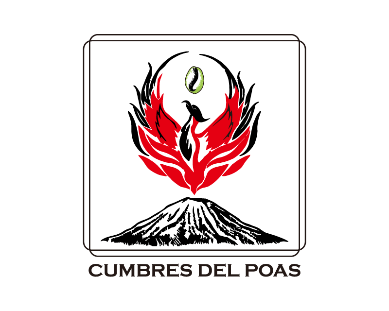 掛耳 哥斯大黎加 火鳳凰莊園 卡杜拉 厭氧日曬 黃金烘焙