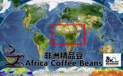 非洲精品豆 Africa Coffee Beans