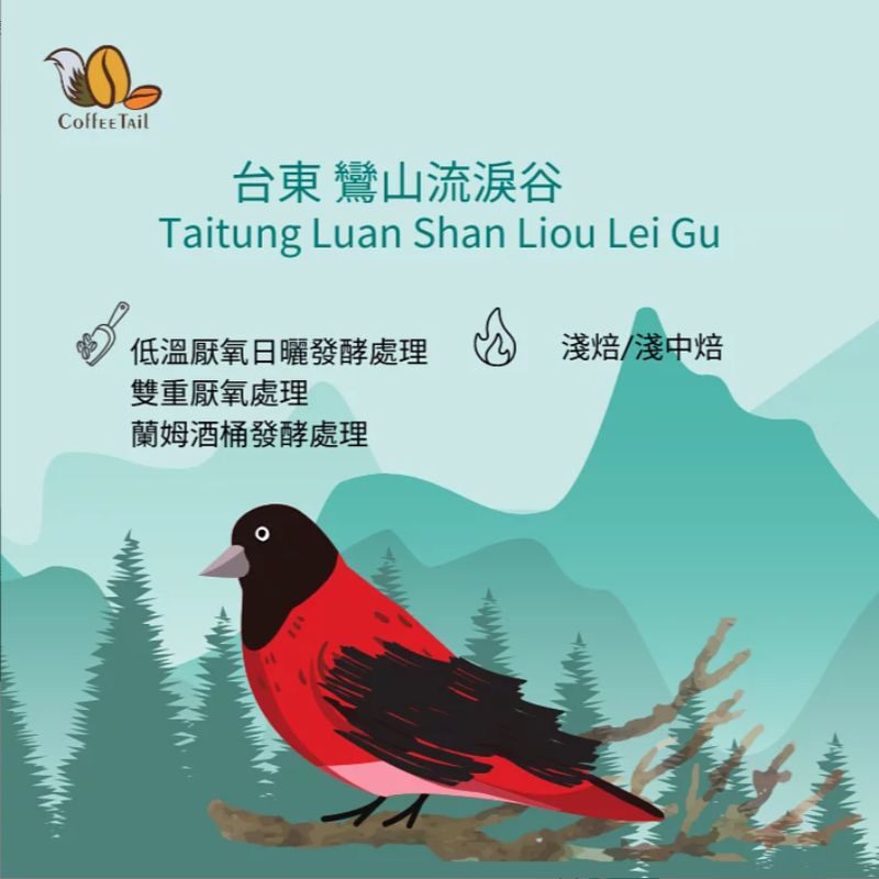 CoffEETAil  台東流淚谷咖啡豆 微醺台東 深烘焙 (113G)