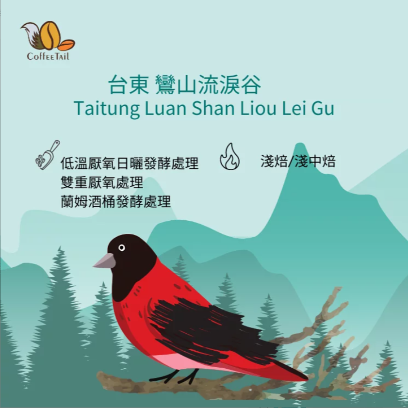 CoffEETAil  台東流淚谷咖啡豆 低溫厭氧 淺烘焙 (113G) (需預訂)