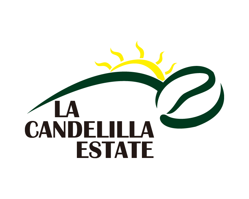 掛耳 哥斯大黎加 小燭莊園 藝伎 水洗 黃金烘焙