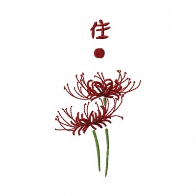 Lycoris