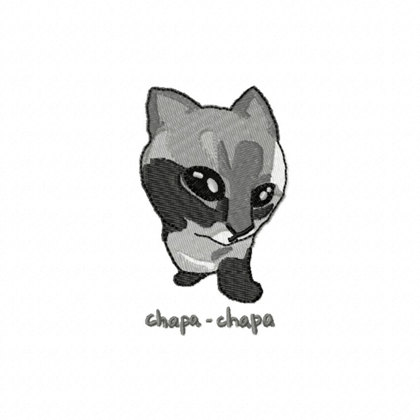 Chapa-chapa