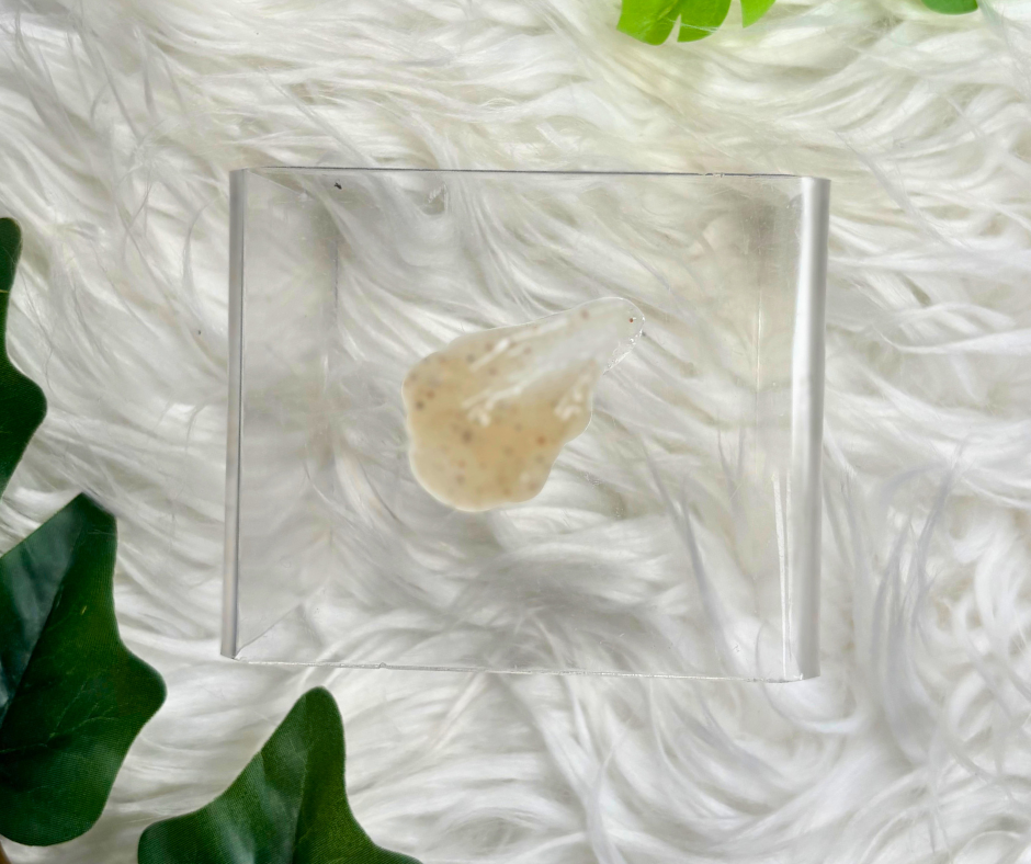 Blueberry & Coffee Bean Exfoliating Cleanser