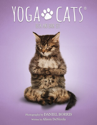 Yoga Cats