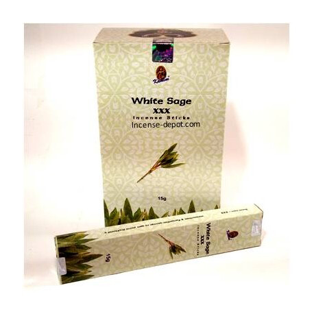 White Sage Kamini