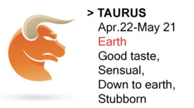 Taurus Pouch