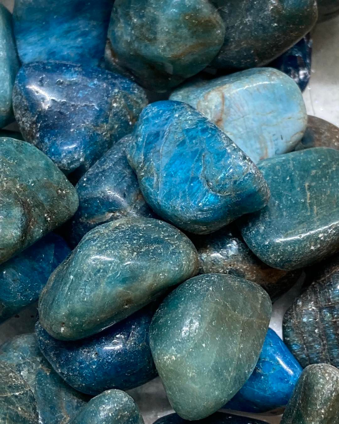 Appatite - Blue