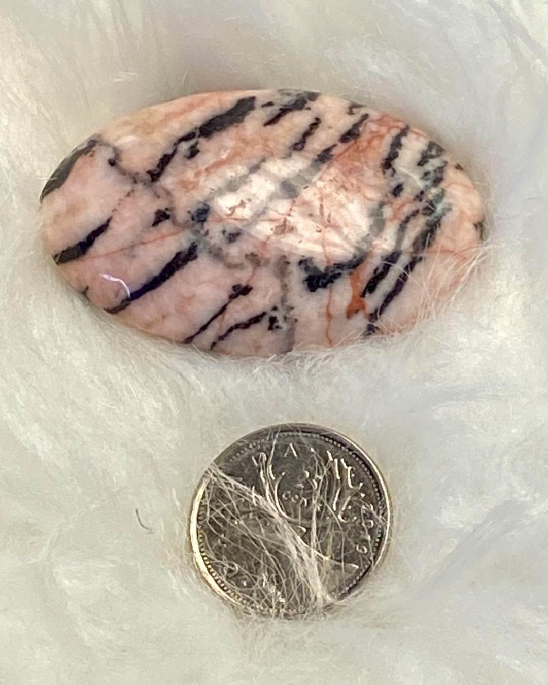 Zebra Stone