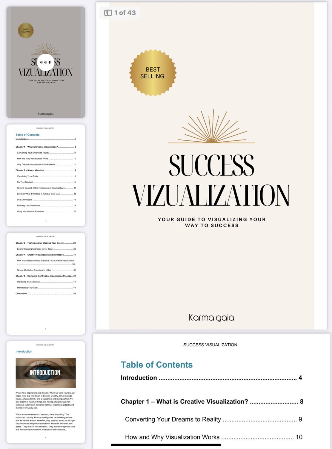 Success Visualization Ebook