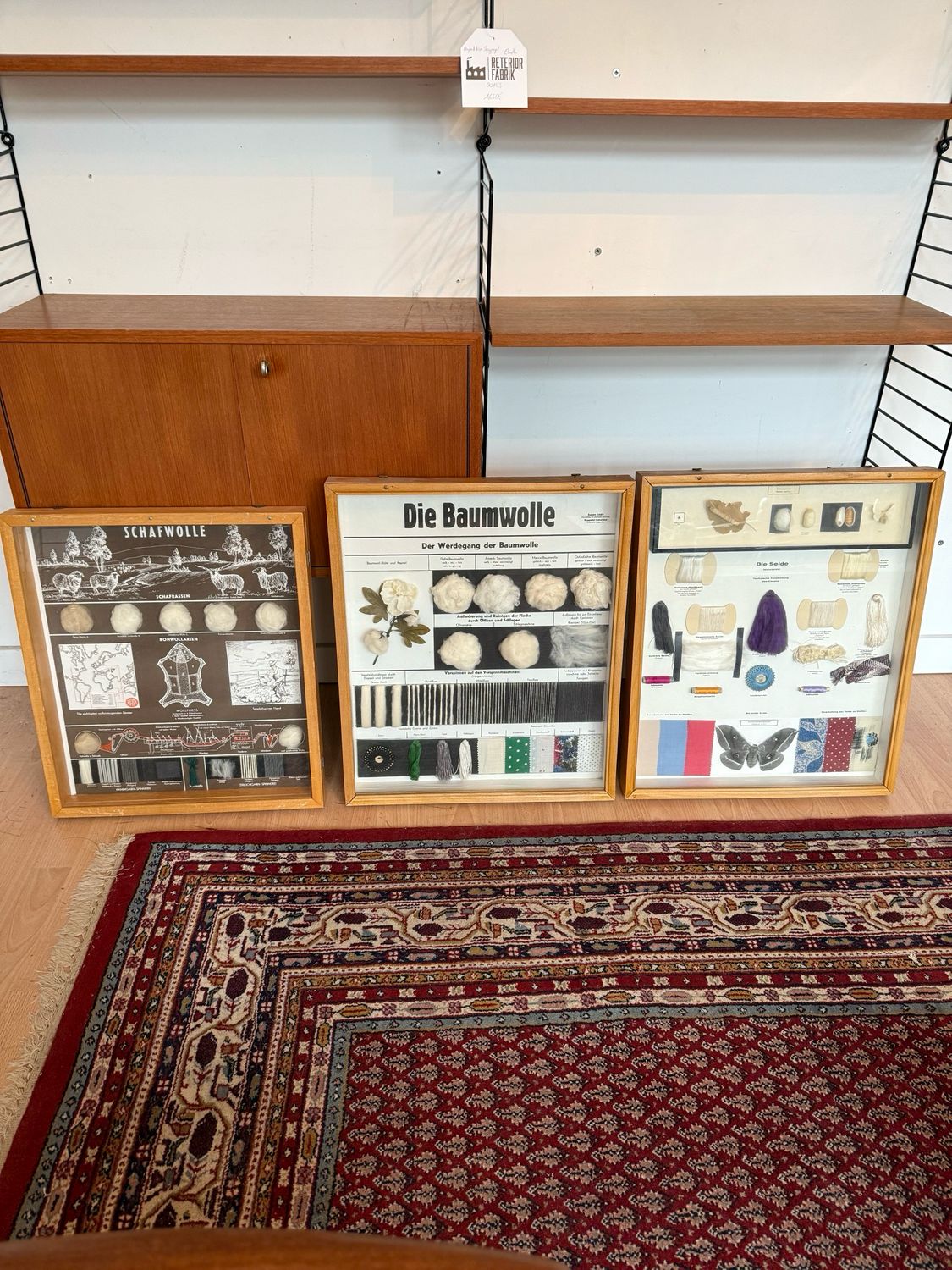 Schaukasten Schauvitrine Vitrine 1von11 Vintage