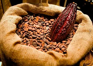 The Journey of Chocolate – From African Farms to British Shops
