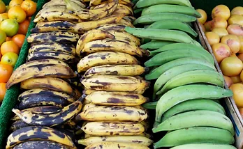 Traditional Food Crops and Cash Crops