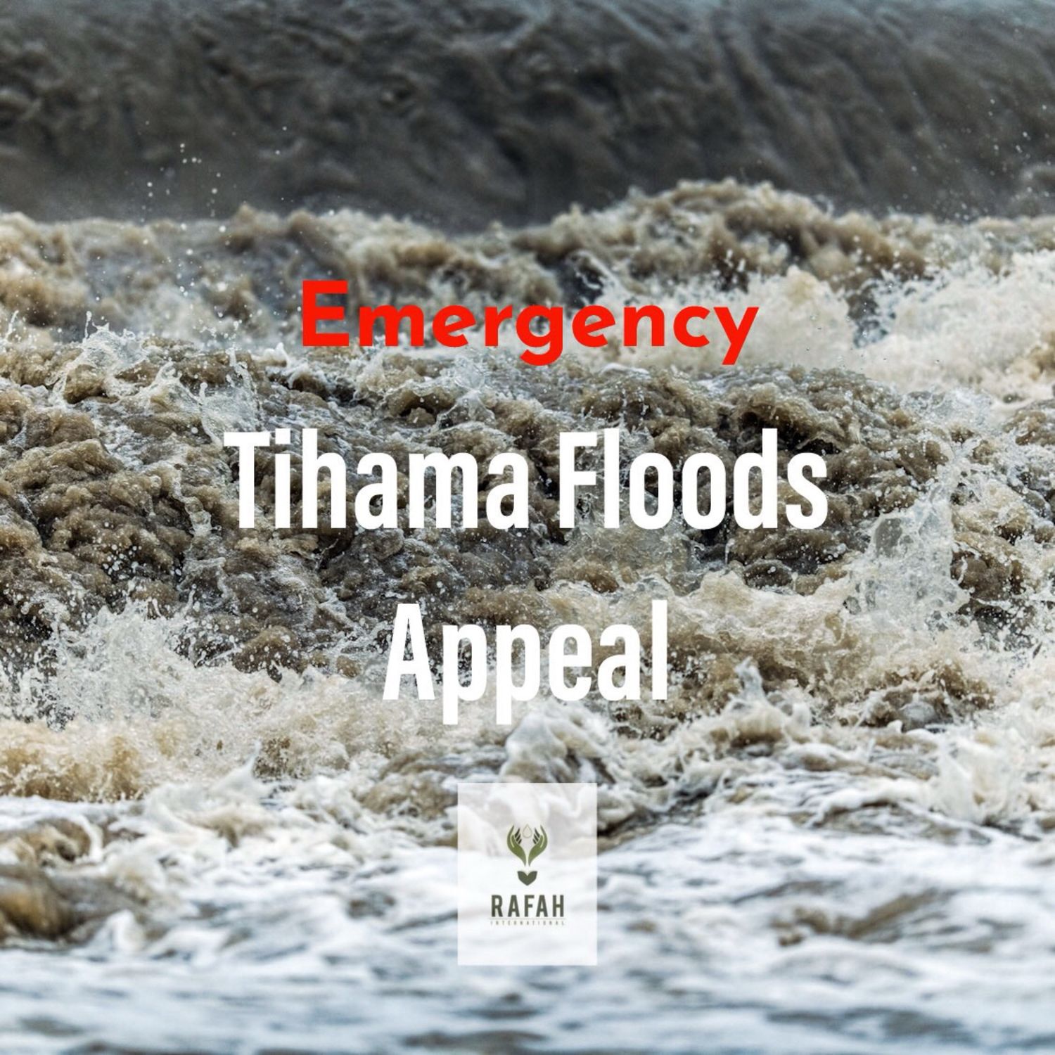 Urgent Relief Needed for Tihama Flood Survivors
