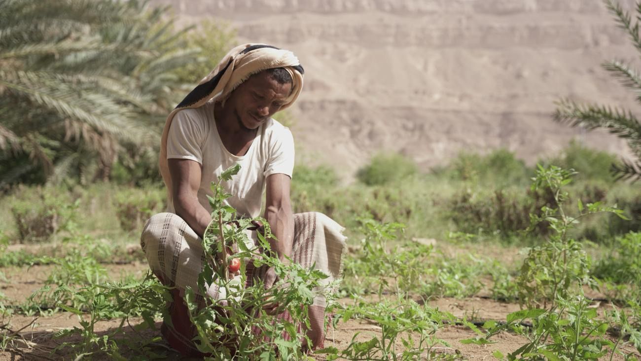 Planting Hope Project: Cultivating a Sustainable Future for Tarim&#39;s Farmers
