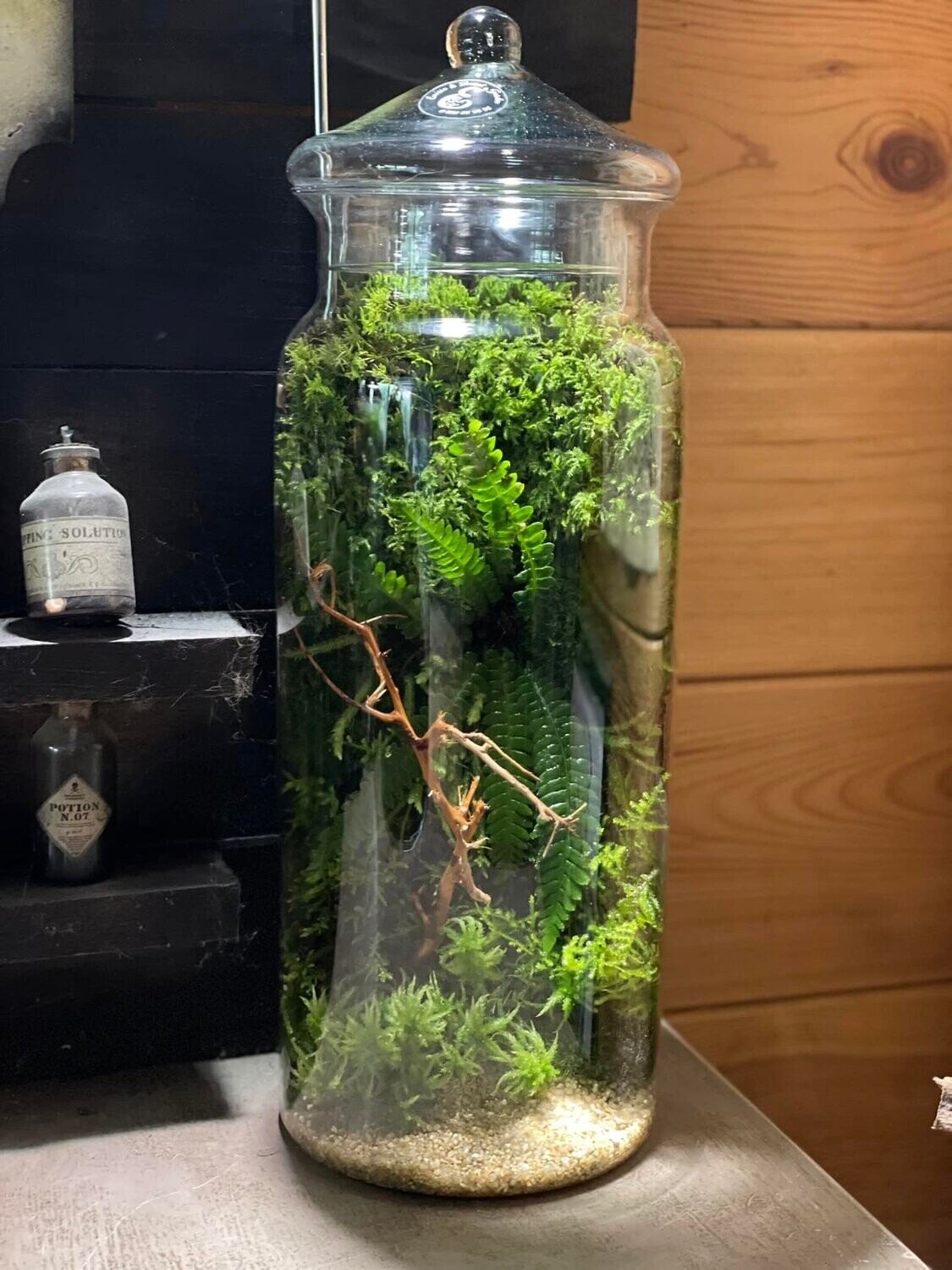 Ecosystème vertical avec mur végétal