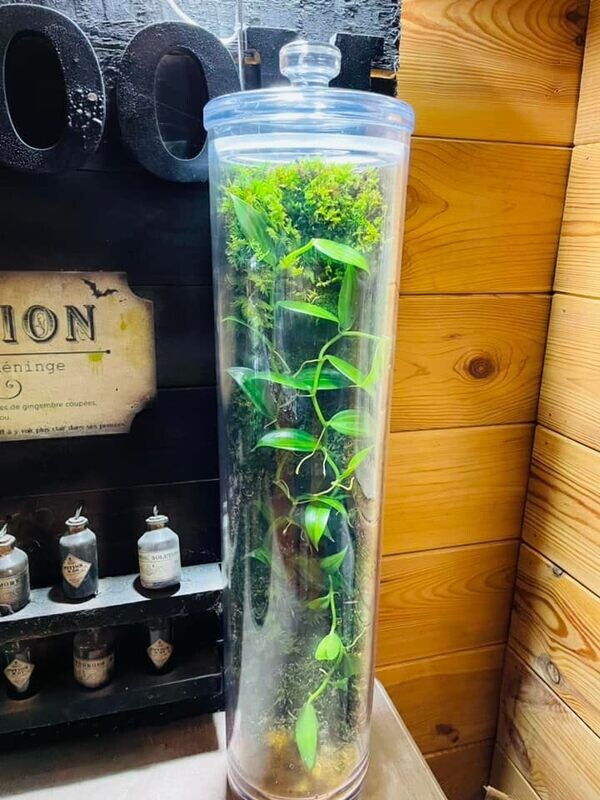 Ecosystème vertical grand format