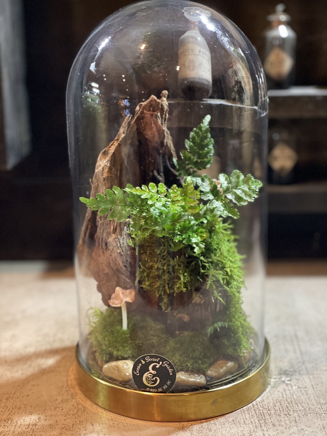 Ecosystème Féérique
