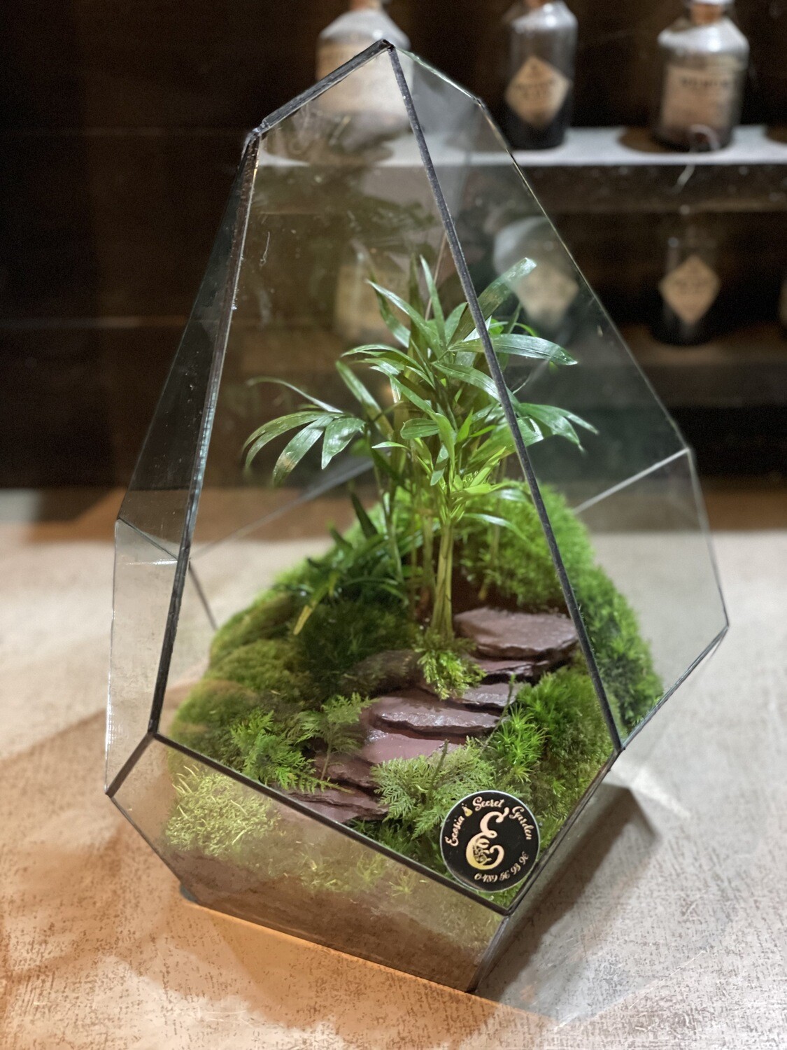 Terrarium Géométrique ONYX BLACK