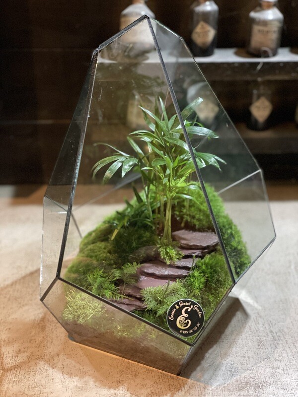 Terrarium Géométrique ONYX BLACK