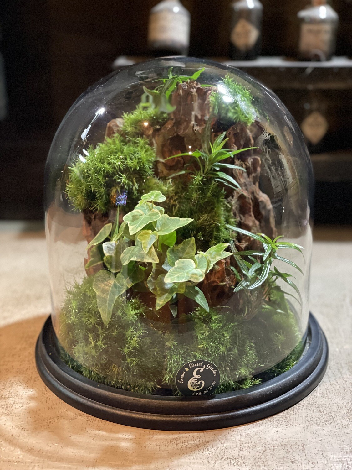 Ecosystème Wabi Kusa