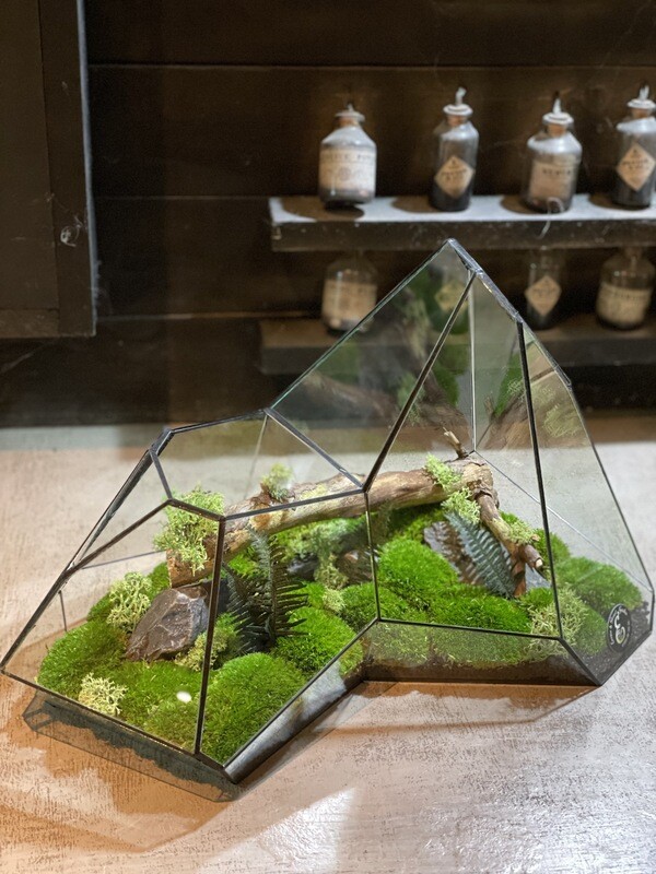 Terrarium Géométrique Black Moutain