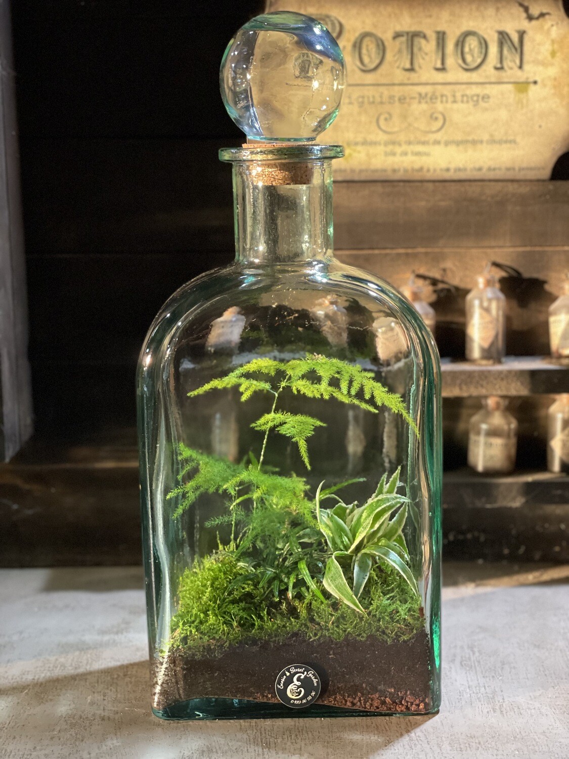 Ecosystème Vase Design