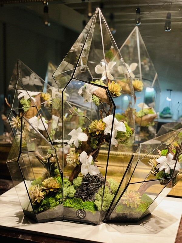 Terrarium Améthyste stabilisé