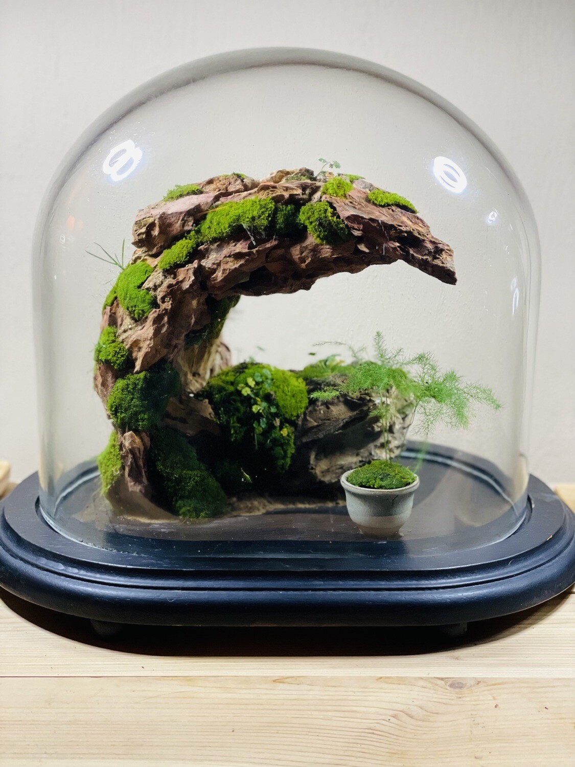 Terrarium en verre style japonais