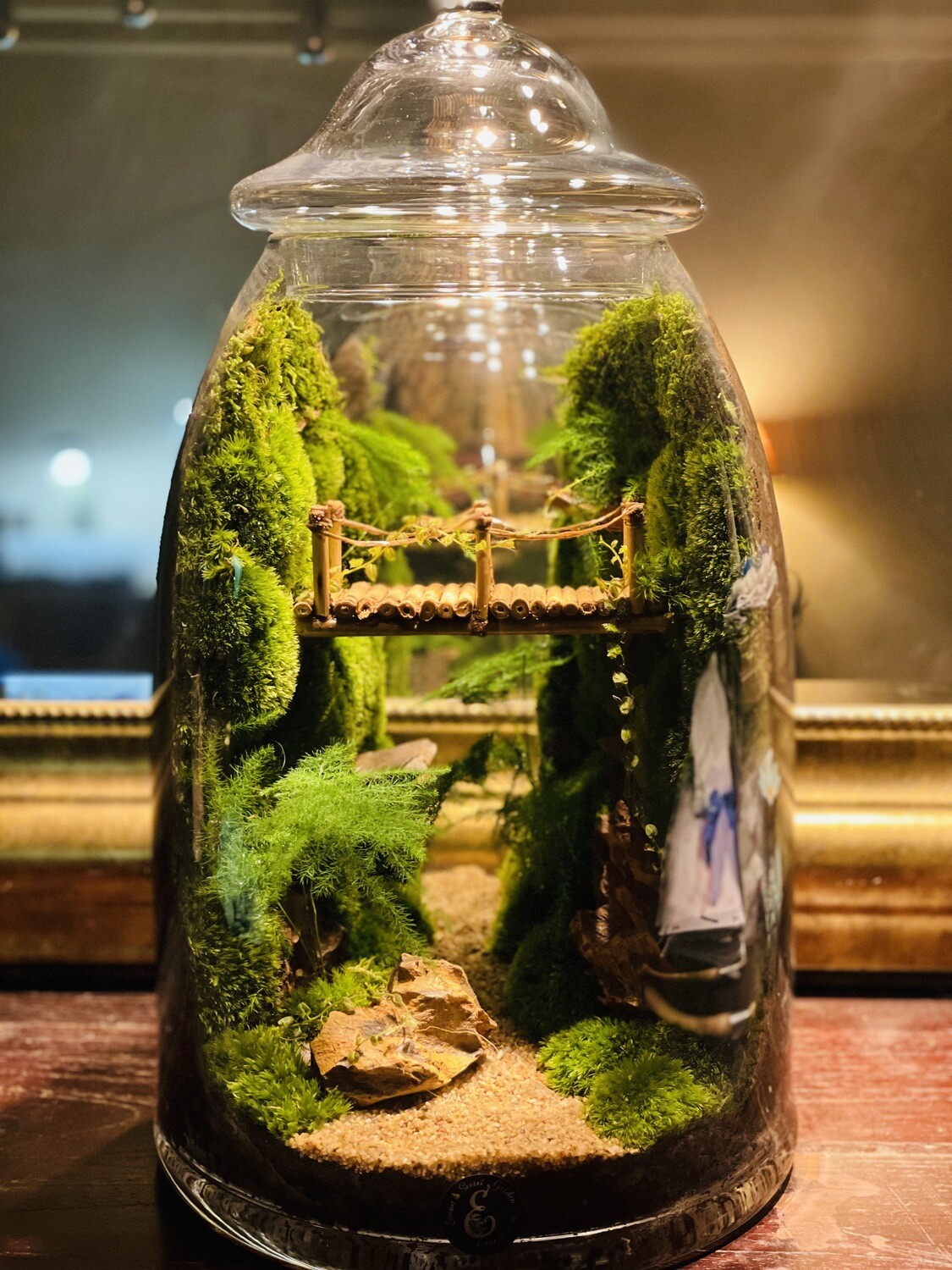Terrarium bonbonnière vertical