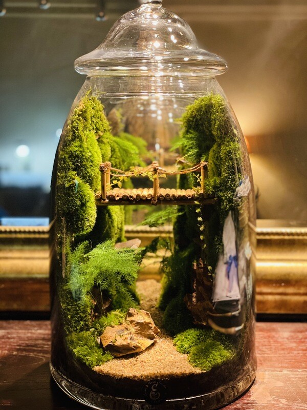 Terrarium bonbonnière vertical