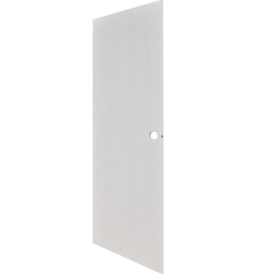 White Flush Interior Door