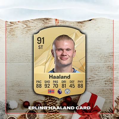 Erling Haaland 91 Card