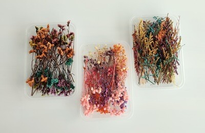Assorted Dried Flowers Pack