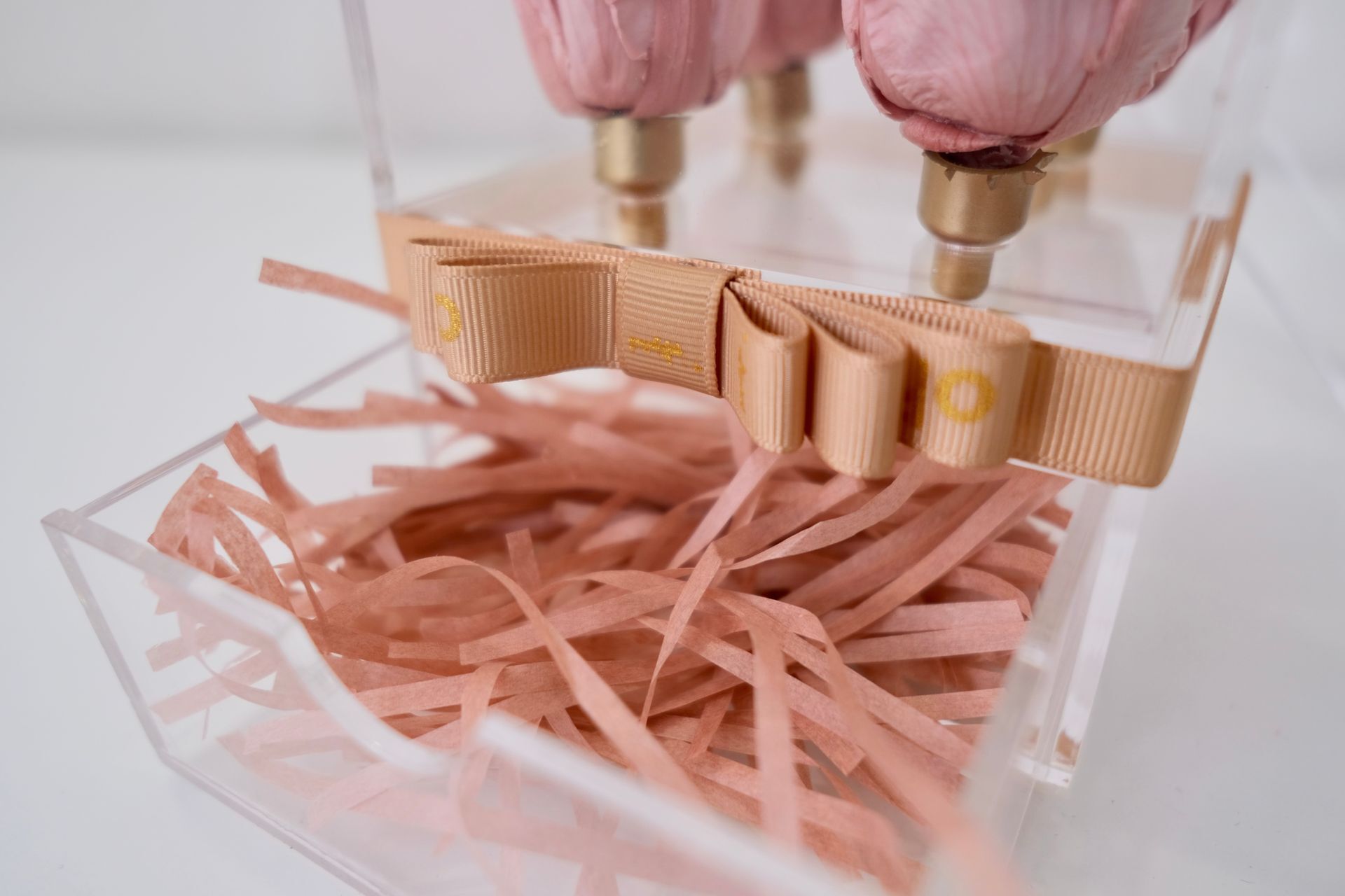 Preserved Rose Acrylic Box