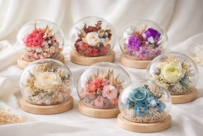 Minnie Dome Minnie Dome