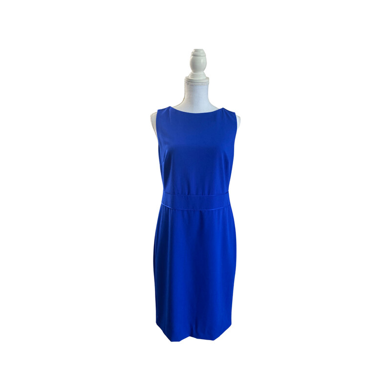 The Limited Dress Size 10