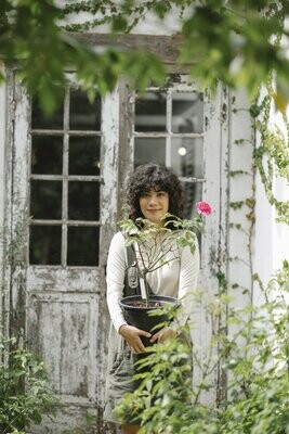 Cut Flower Seedlings