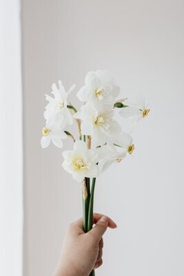 Spring Bouquet Subscription